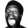 african_junque
